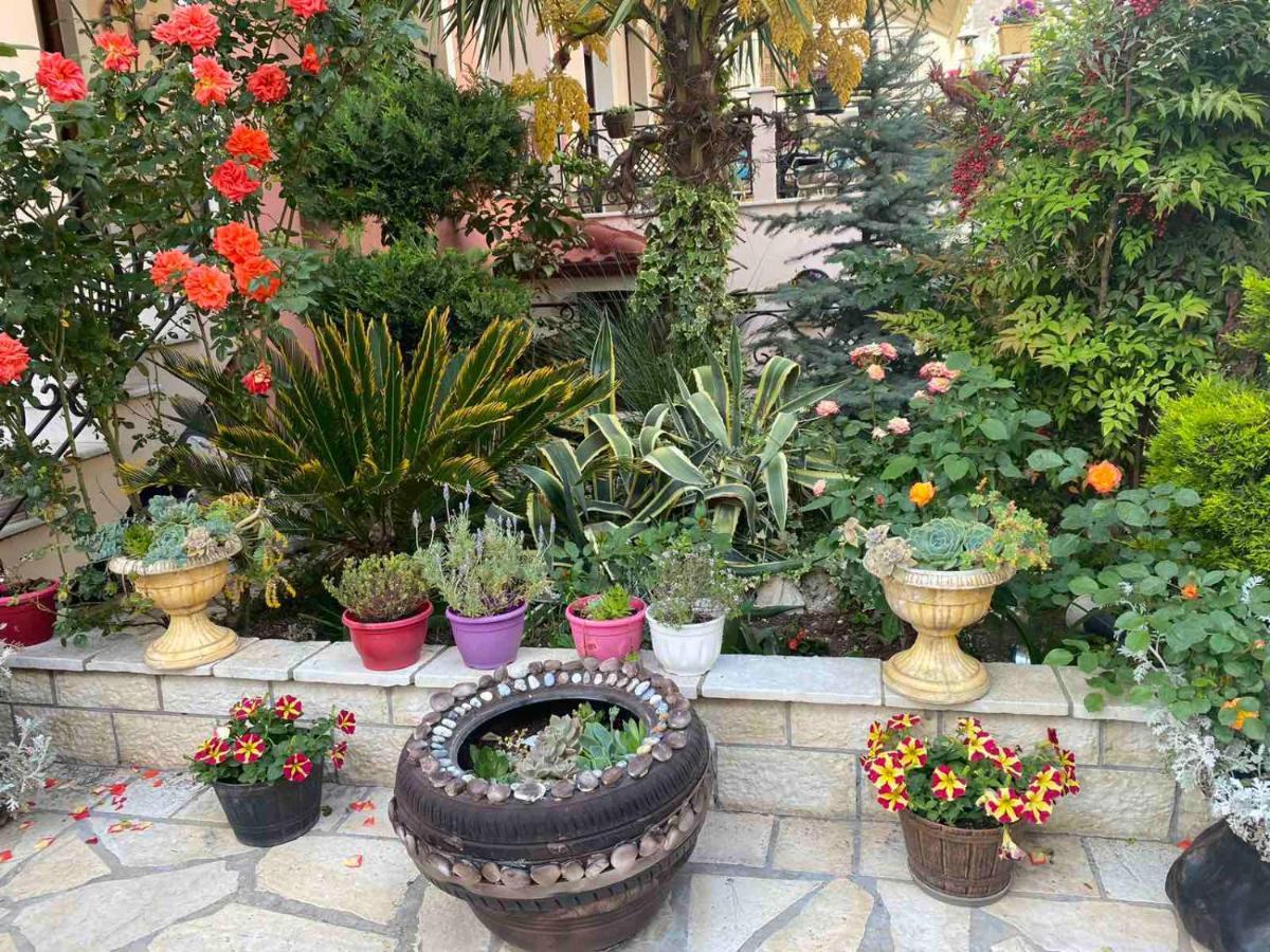 In The Castle Ii- House Apartment Ioannina Bagian luar foto